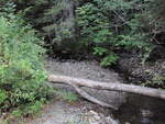 Multiple Culvert Crossing at Clover Mill Rd, Farmington, Maine