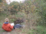 Multiple Culvert Crossing at Cottrell Rd, Dixmont, Maine