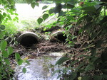 Multiple Culvert Crossing at Detroit St, Pittsfield, Maine