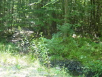 Multiple Culvert Crossing at Dingley Rd, Litchfield, Maine