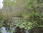 Multiple Culvert Crossing at Dodlin, Enfield, Maine