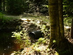 Multiple Culvert Crossing at Dorfield Ln, Wells, Maine