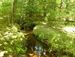 Multiple Culvert Crossing at Dorfield Ln, Wells, Maine