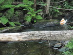 Multiple Culvert Crossing at Dyer Rd, Atkinson, Maine