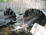 Multiple Culvert Crossing at Elm Street, Mercer, Maine