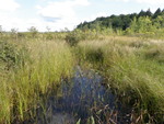 Multiple Culvert Crossing at Fahi Pond Rd, Embden, Maine