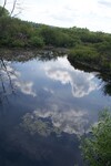Multiple Culvert Crossing at Fields Pond Road, Orrington, Maine