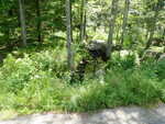 Multiple Culvert Crossing at Fogler Rd, Bremen, Maine