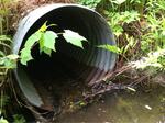 Multiple Culvert Crossing at Gove Rd, Liberty, Maine