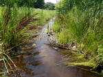 Multiple Culvert Crossing at Grayson St, Biddeford, Maine