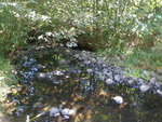 Multiple Culvert Crossing at Hertzberg Rd, Embden, Maine