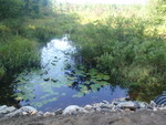 Multiple Culvert Crossing at Lakeside Dr, Windham, Maine