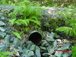 Multiple Culvert Crossing at Lamb Island Ln, Georgetown, Maine