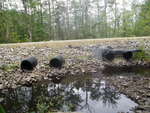Multiple Culvert Crossing at Libby Rd, Casco, Maine