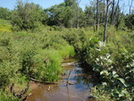 Multiple Culvert Crossing at Locke Hill Road, Starks, Maine