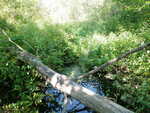 Multiple Culvert Crossing at Longfellow Rd, Westbrook, Maine