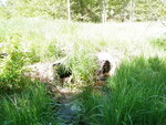 Multiple Culvert Crossing at Mckenney Rd, Saco, Maine