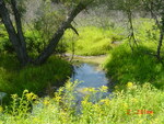 Multiple Culvert Crossing at Meadow Rd, Bowdoin, Maine