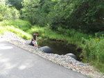 Multiple Culvert Crossing at Meadow Rd, Woolwich, Maine