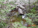 Multiple Culvert Crossing at Meadowbrook Rd, Phippsburg, Maine