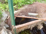 Multiple Culvert Crossing at Middle River Road, Greenbush, Maine