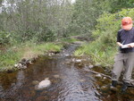 Multiple Culvert Crossing at Moulton Rd, Embden, Maine
