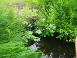 Multiple Culvert Crossing at Mudgett Rd, Parsonsfield, Maine