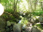 Multiple Culvert Crossing at N Searsport Rd, Swanville, Maine