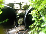 Multiple Culvert Crossing at Nealey Rd, Northport, Maine