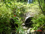 Multiple Culvert Crossing at Old Stage, Woolwich, Maine