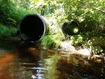 Multiple Culvert Crossing at Packard Mill Rd, Warren, Maine