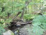 Multiple Culvert Crossing at Perham Street, Farmington, Maine