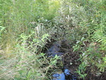 Multiple Culvert Crossing at Perham Street, Farmington, Maine