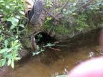 Multiple Culvert Crossing at Pine Plain, Liberty, Maine