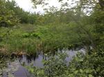 Multiple Culvert Crossing at Pine Plain, Liberty, Maine