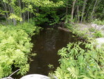 Multiple Culvert Crossing at Princeton, Alexander, Maine