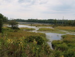 Multiple Culvert Crossing at Railroad, T4 R9 NWP, Maine