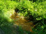 Multiple Culvert Crossing at Randall Lake Rd, Parsonsfield, Maine