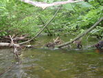 Multiple Culvert Crossing at River Road, Abbot, Maine
