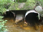 Multiple Culvert Crossing at River Road, Abbot, Maine