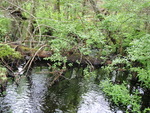 Multiple Culvert Crossing at Route 11, Milo, Maine