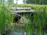 Multiple Culvert Crossing at Route 126, West Gardiner, Maine