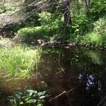 Multiple Culvert Crossing at Route 129, Bristol, Maine