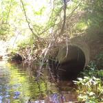 Multiple Culvert Crossing at Route 129, Bristol, Maine