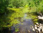 Multiple Culvert Crossing at Route 160, Limerick, Maine