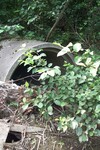 Multiple Culvert Crossing at Route 202, Hampden, Maine