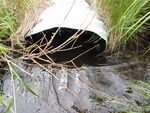 Multiple Culvert Crossing at Route 212, Merrill, Maine