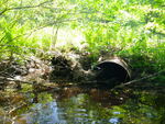 Multiple Culvert Crossing at Route 35, Standish, Maine