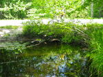 Multiple Culvert Crossing at Route 35, Standish, Maine