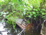 Multiple Culvert Crossing at Route 5, Cornish, Maine